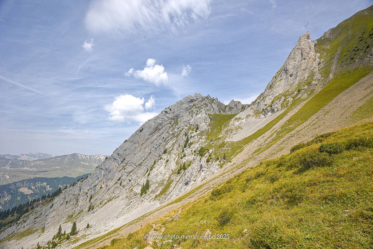 2025-08-26-0132.jpg