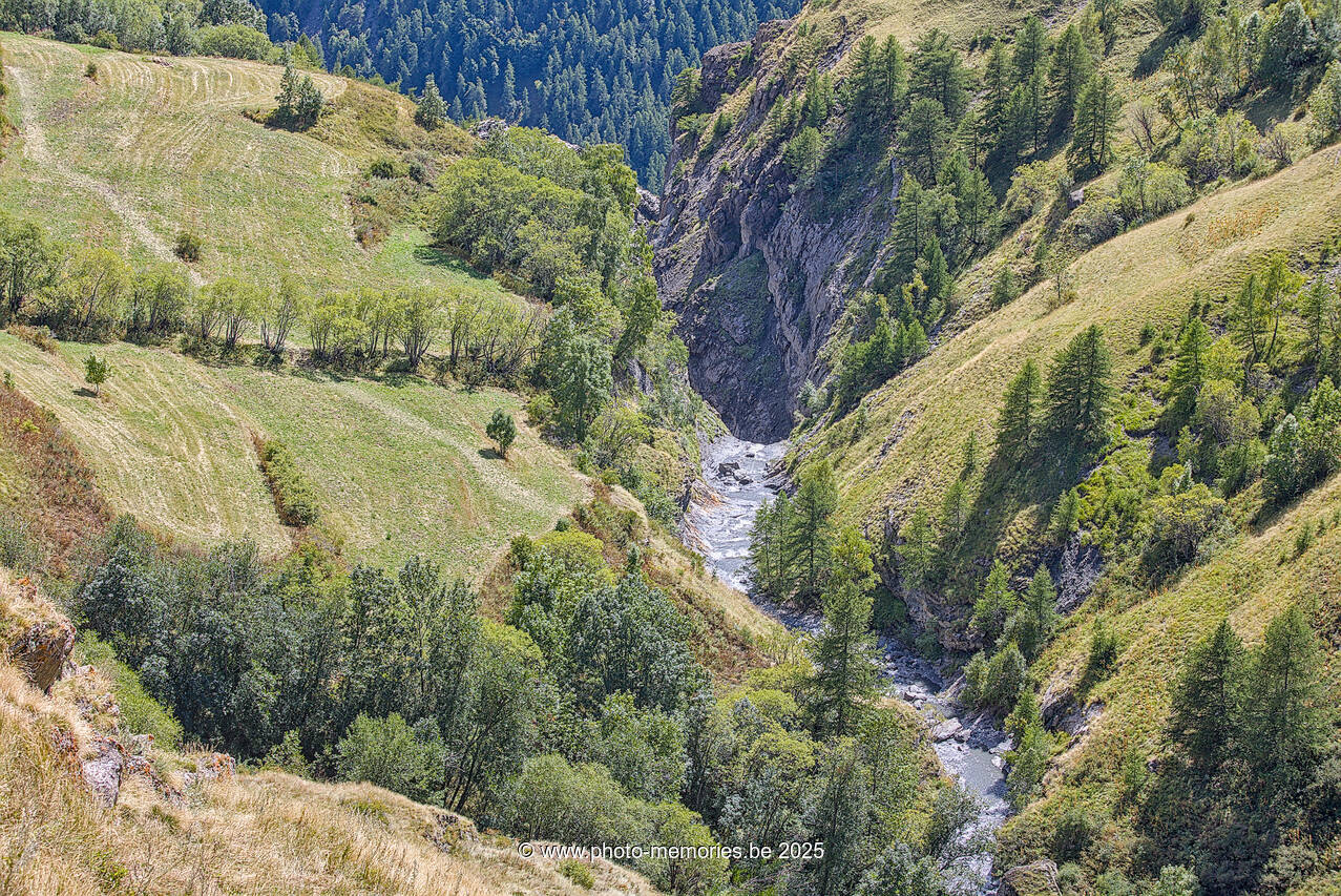 2025-08-29-0190.jpg
