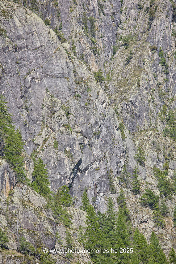 2025-09-05-0209.jpg