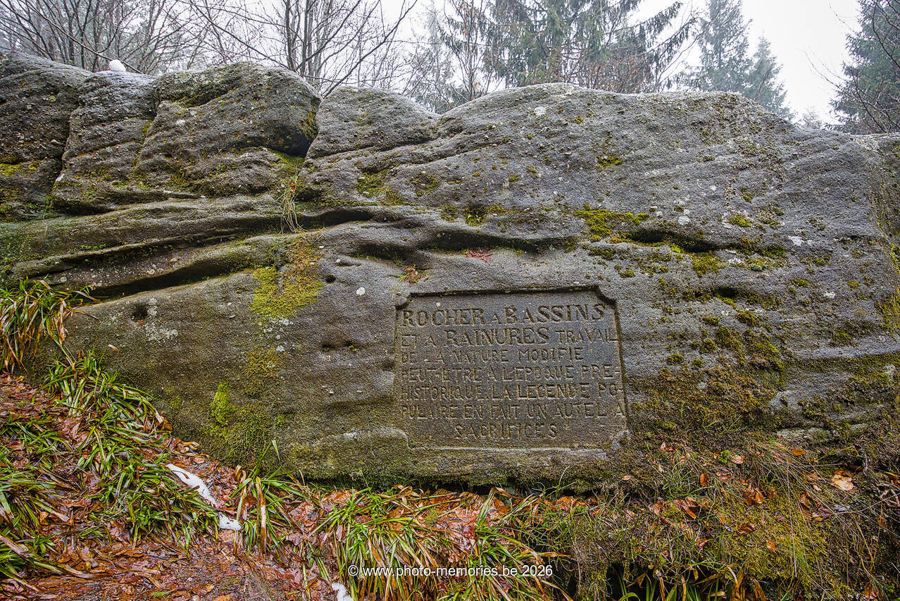 2026-04-04-0004.jpg