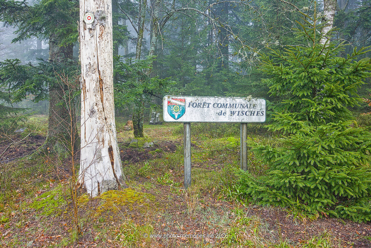 2026-04-04-0018.jpg