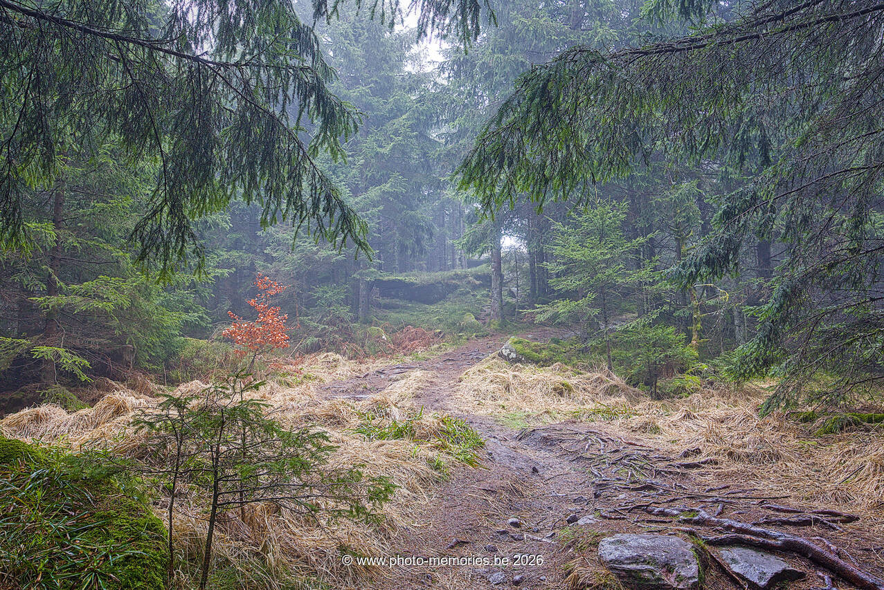 2026-04-04-0019.jpg