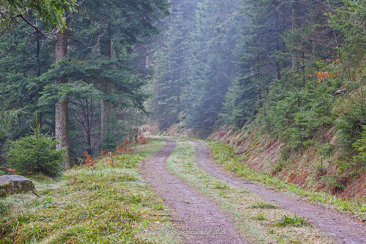 2026-04-04-0027.jpg
