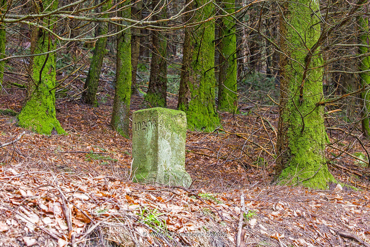 2026-04-04-0029.jpg