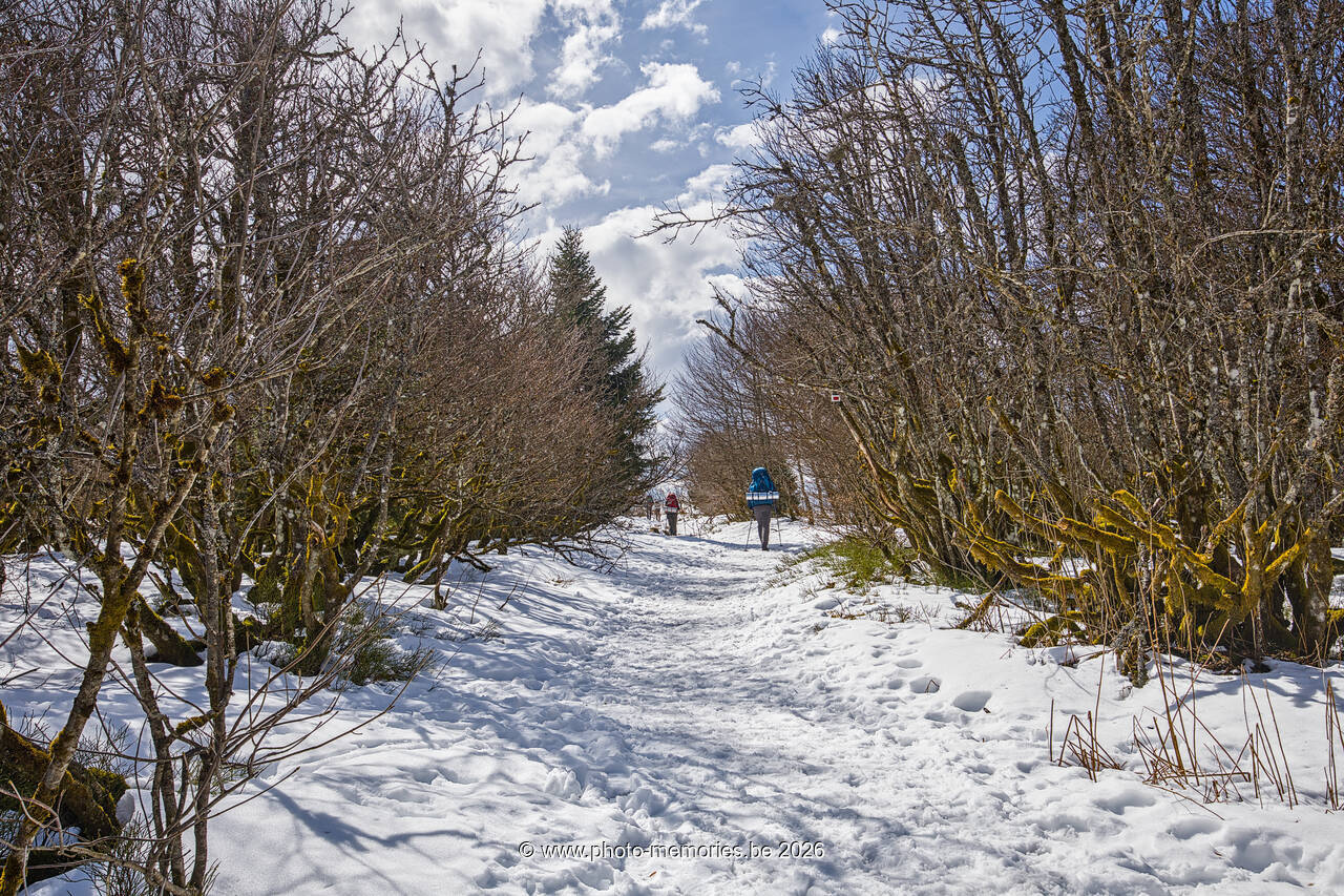 2026-04-05-0047.jpg