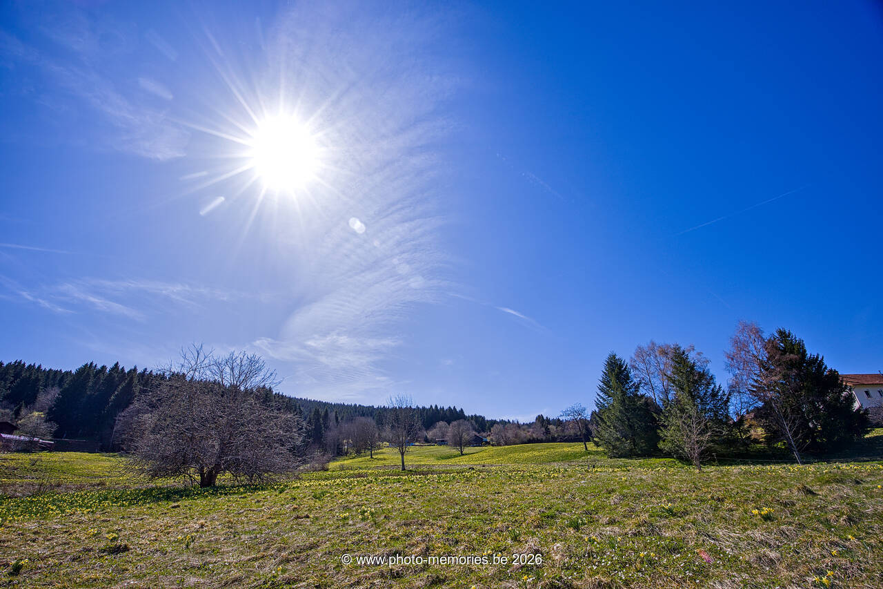 2026-04-07-0102.jpg