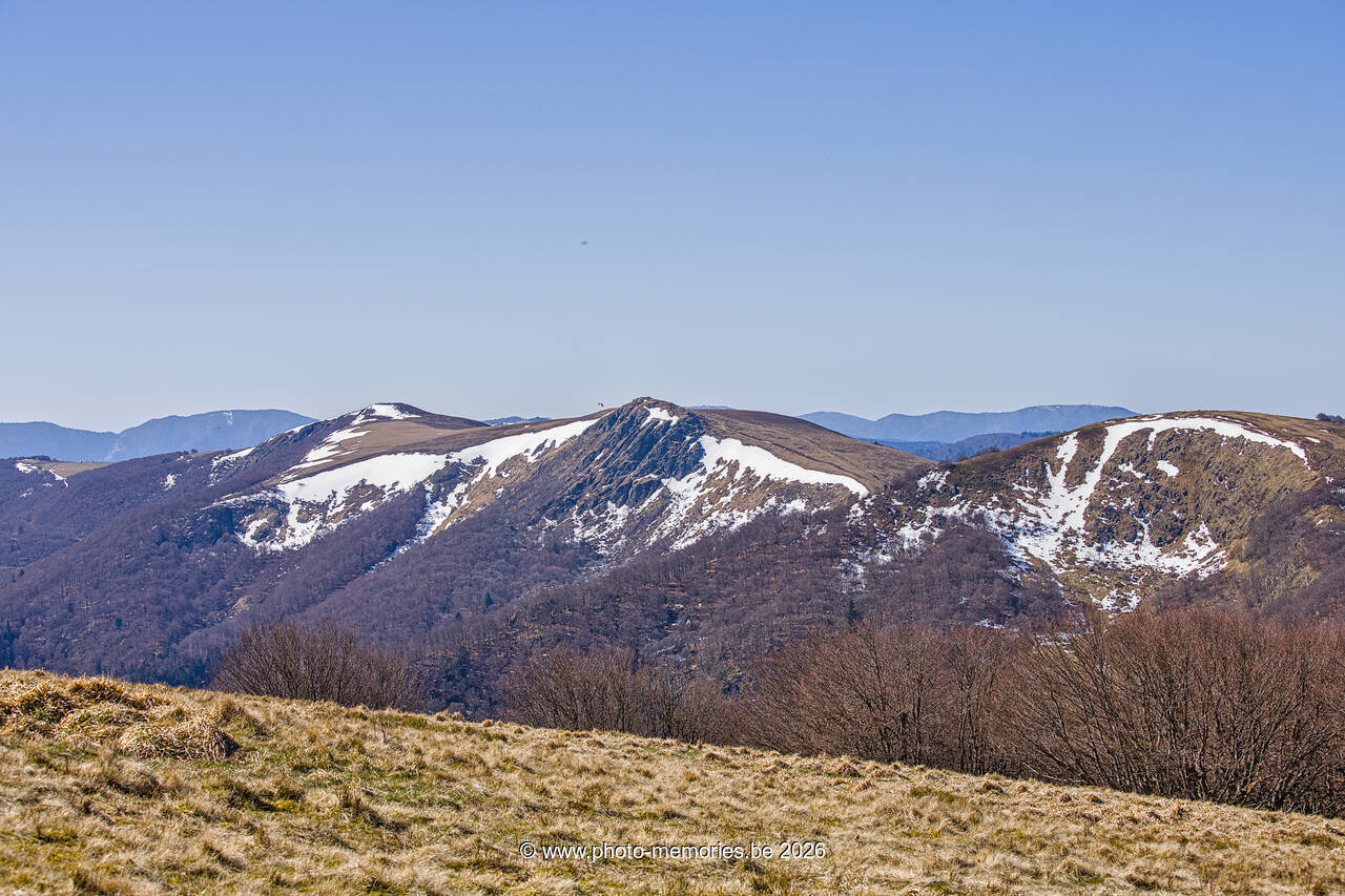 2026-04-08-0110.jpg
