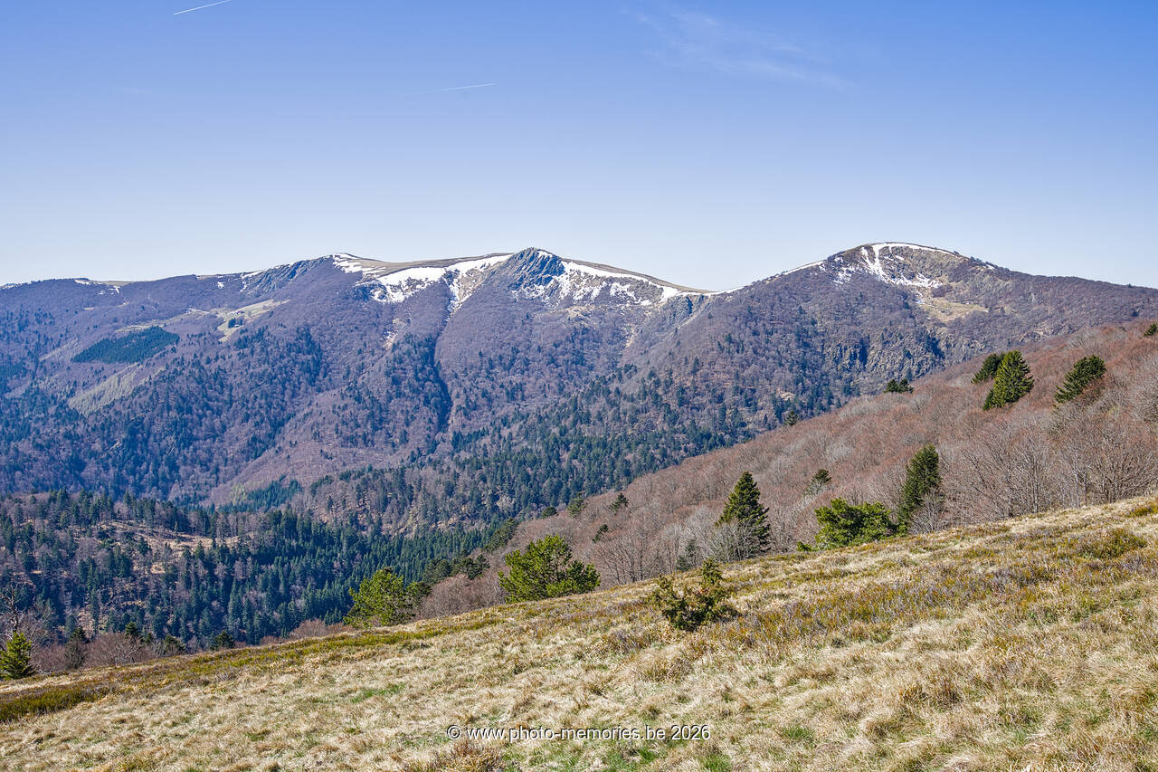 2026-04-08-0114.jpg