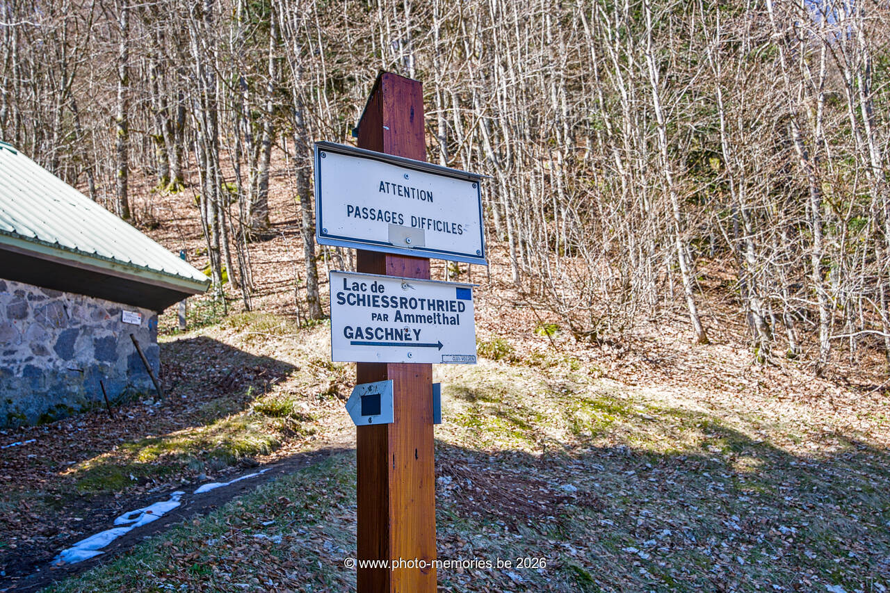 2026-04-08-0117.jpg