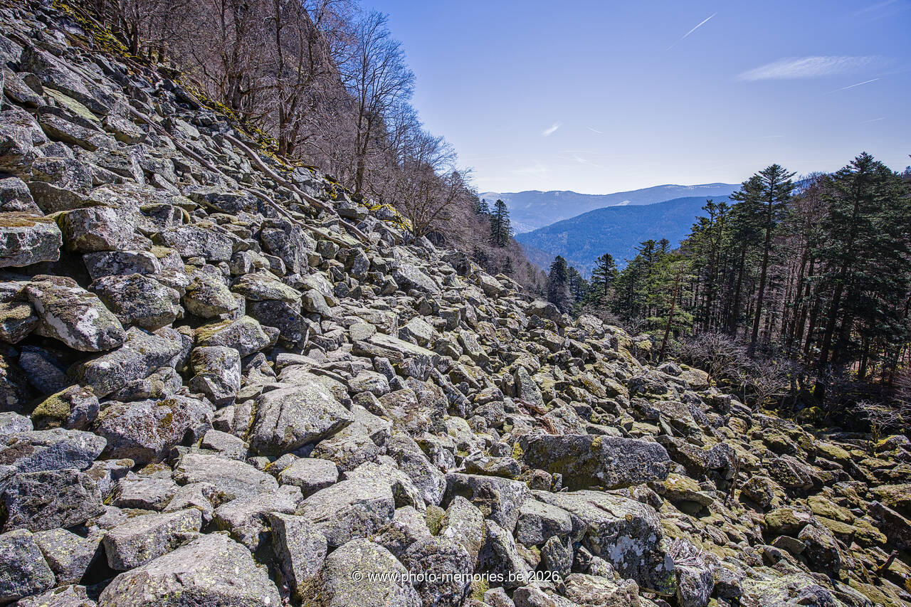 2026-04-08-0120.jpg