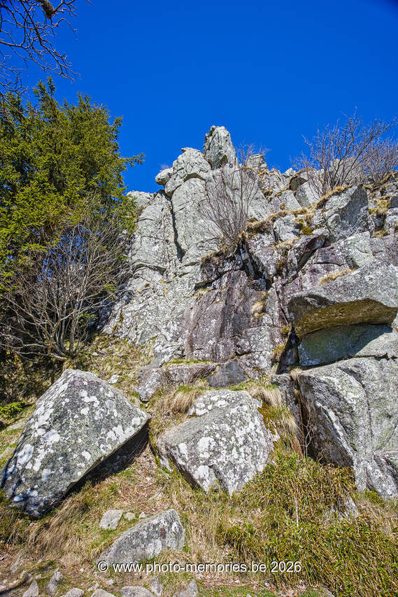 2026-04-08-0130.jpg