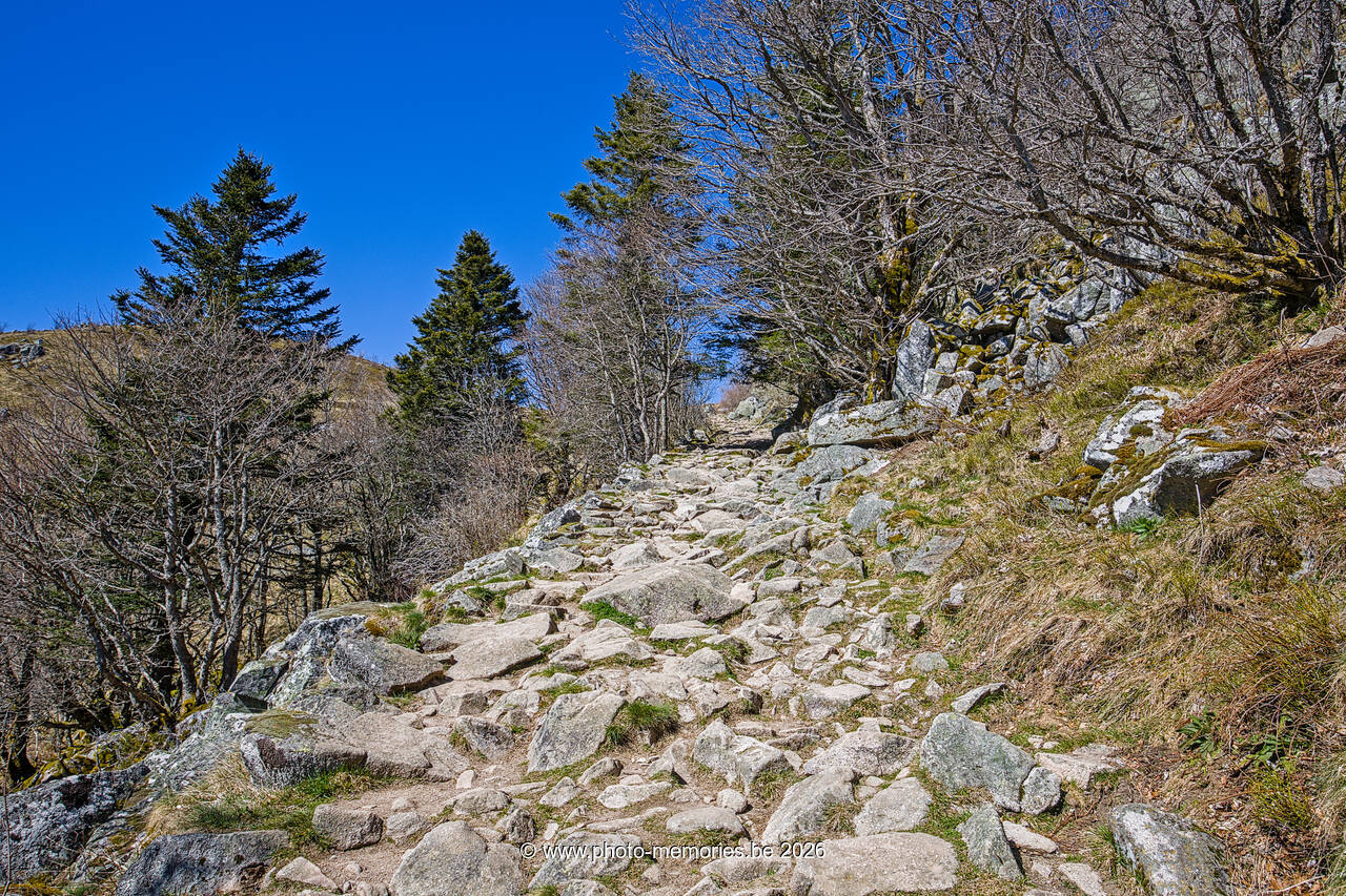 2026-04-08-0131.jpg