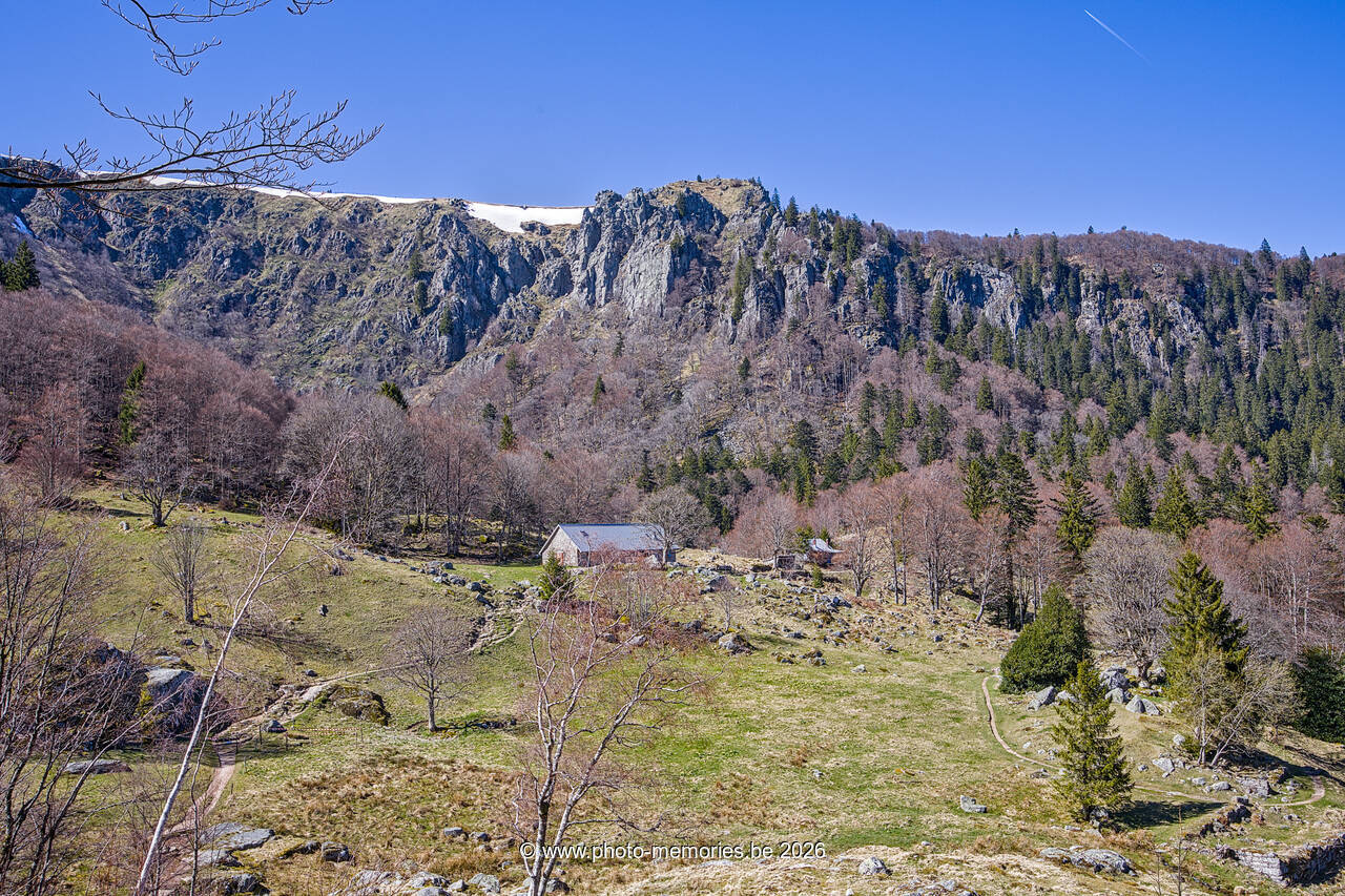 2026-04-08-0133.jpg