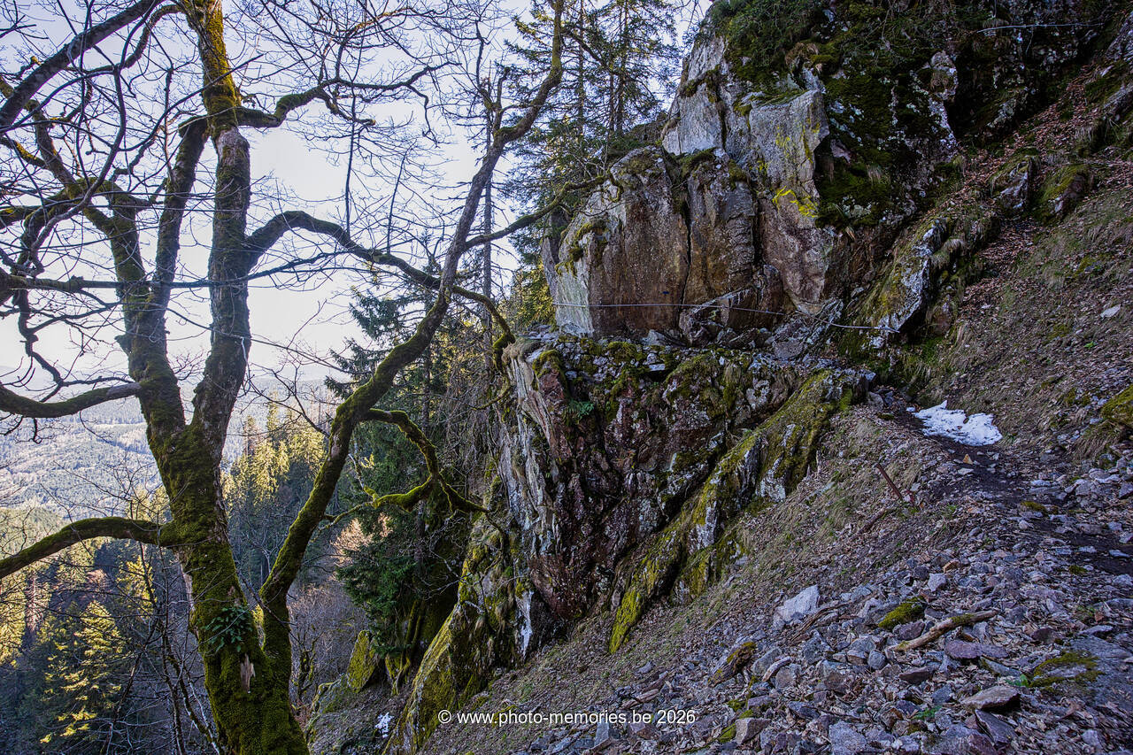2026-04-08-0140.jpg