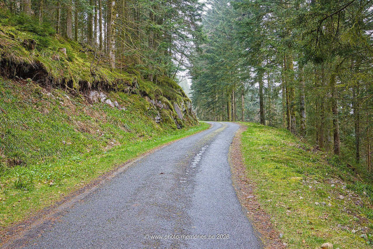 2026-04-10-0160.jpg