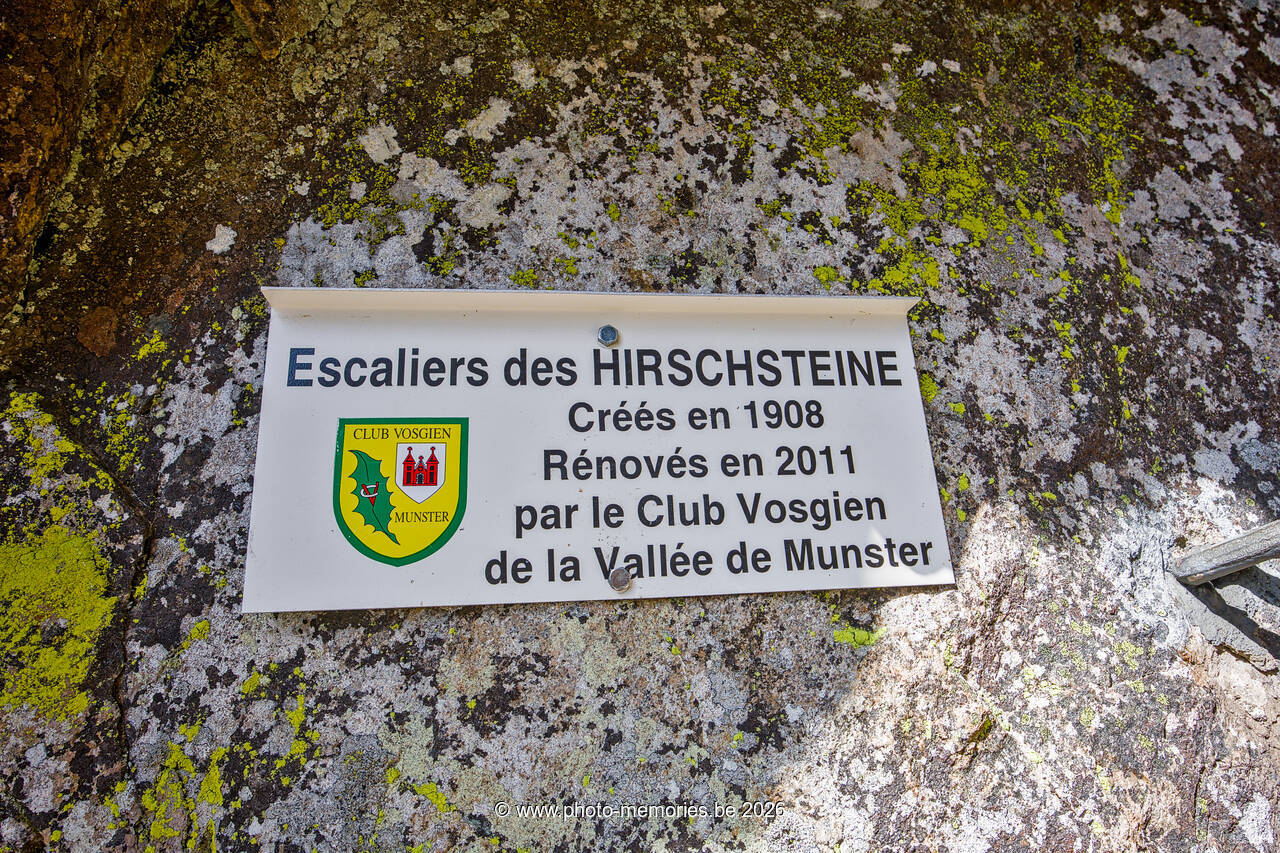 2026-04-11-0200.jpg