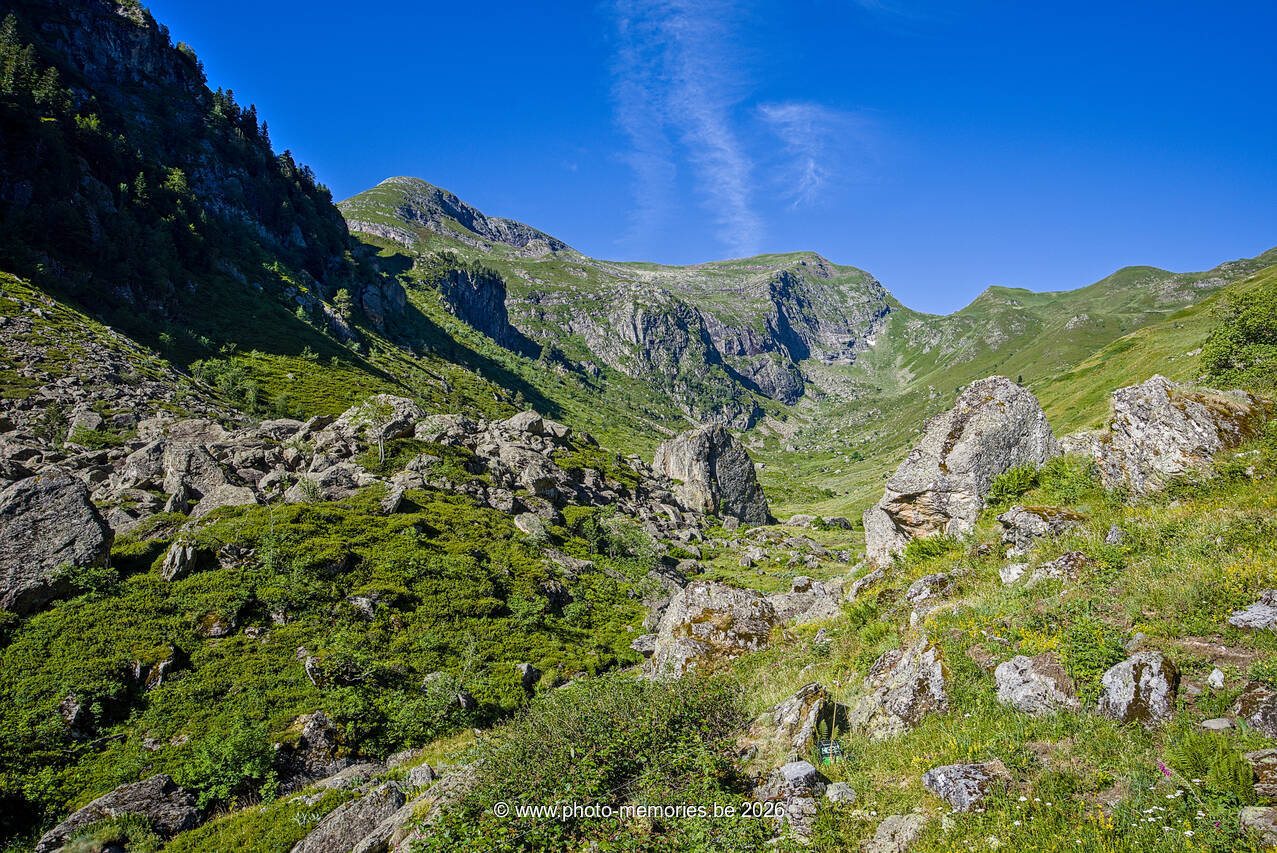 2026-07-03-0053.jpg