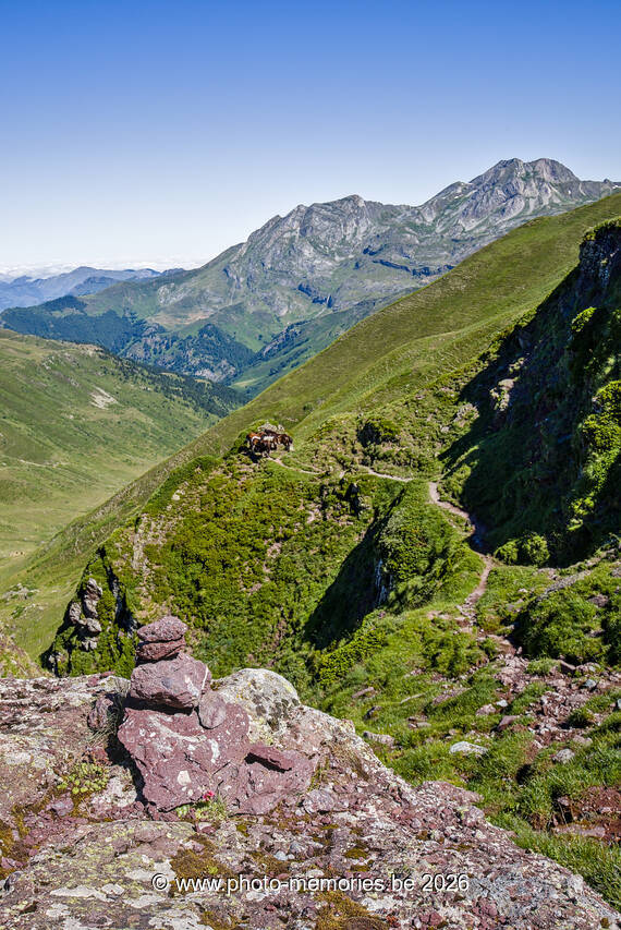 2026-07-03-0062.jpg
