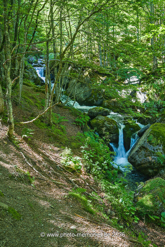 2026-07-05-0115.jpg
