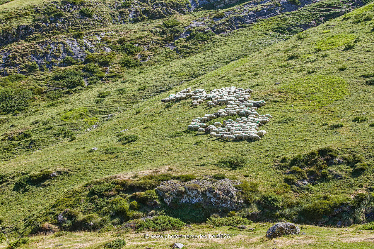 2026-07-05-0118.jpg