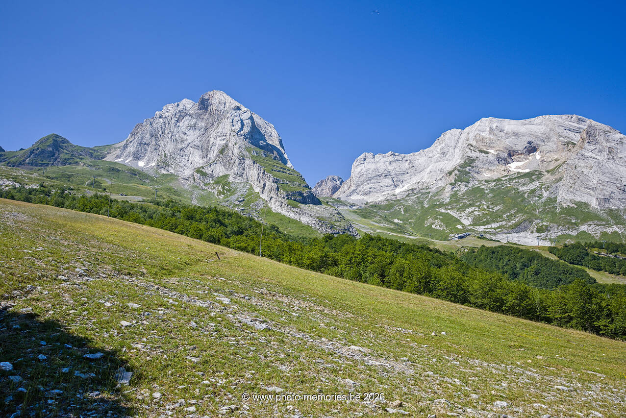 2026-07-05-0121.jpg