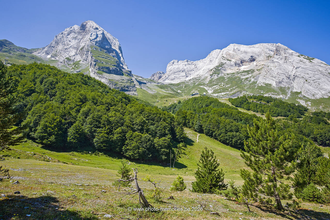 2026-07-05-0124.jpg