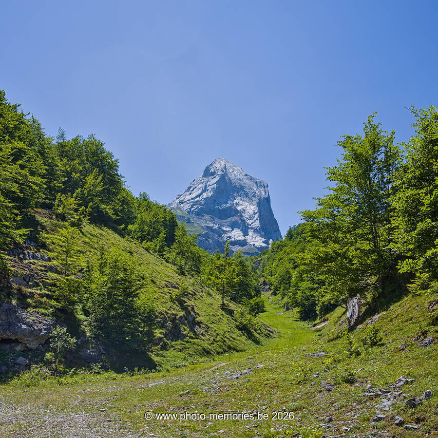 2026-07-05-0127.jpg