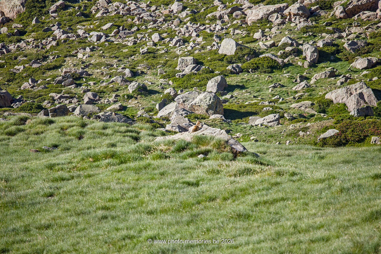 2026-07-06-0136.jpg
