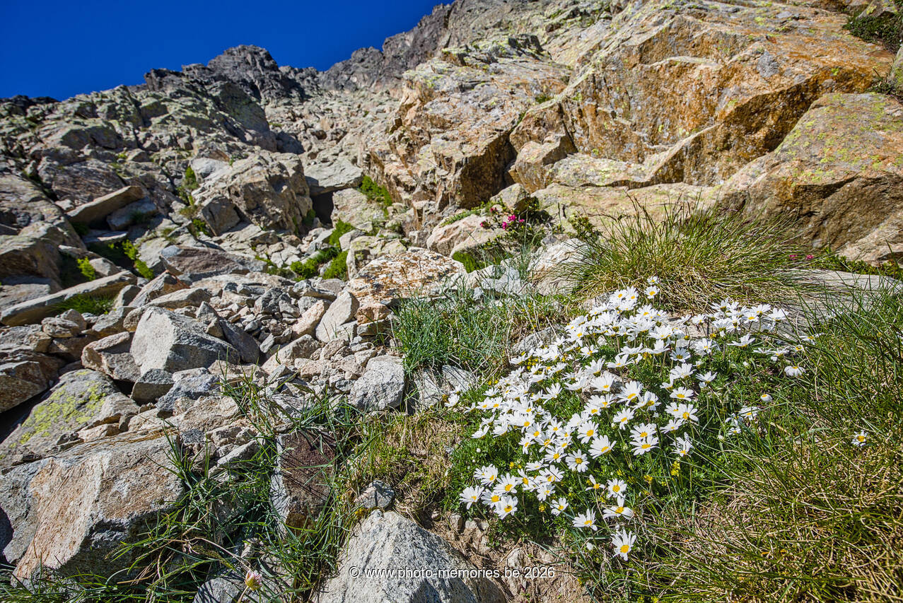 2026-07-06-0142.jpg