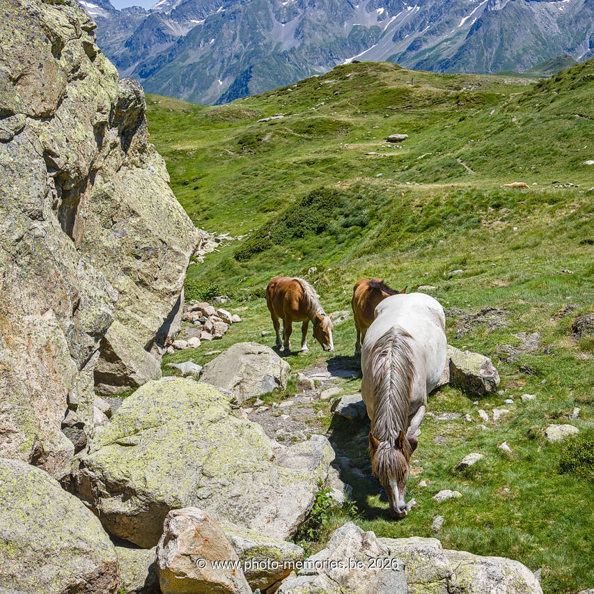 2026-07-06-0158.jpg