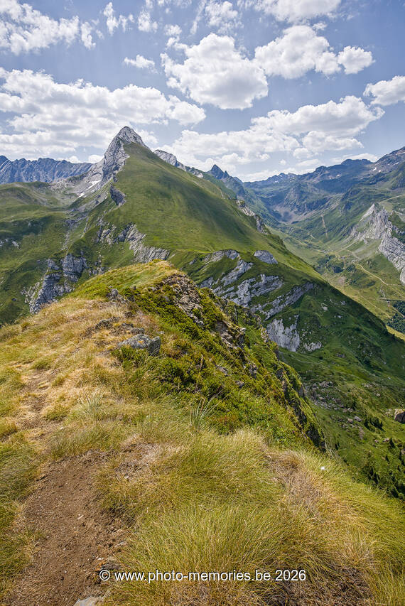 2026-07-07-0172.jpg
