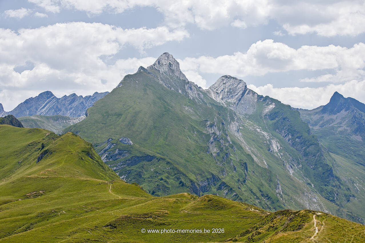 2026-07-07-0177.jpg