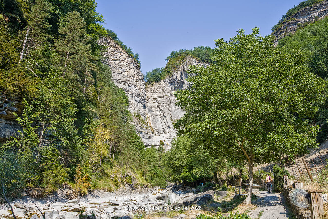 2026-07-08-0187.jpg
