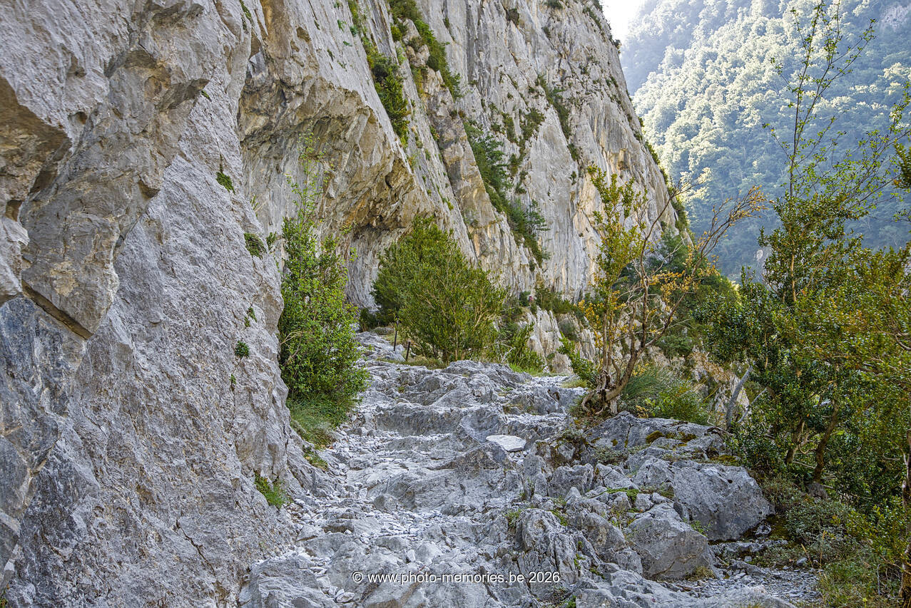 2026-07-09-0212.jpg
