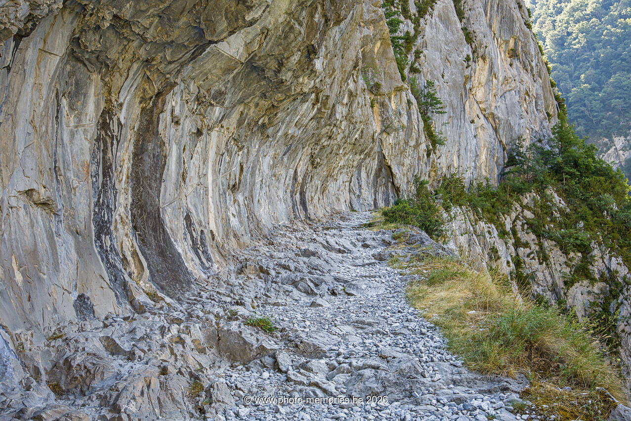 2026-07-09-0213.jpg