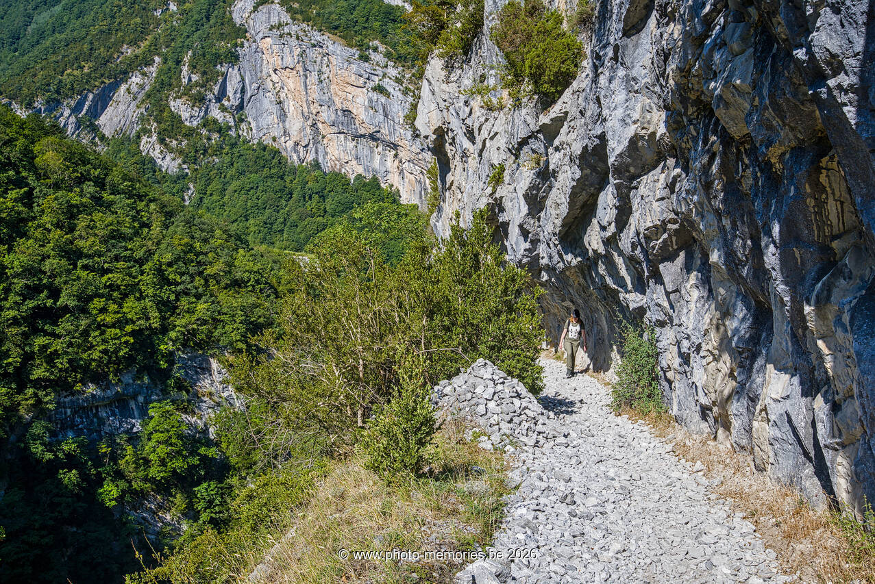2026-07-09-0217.jpg