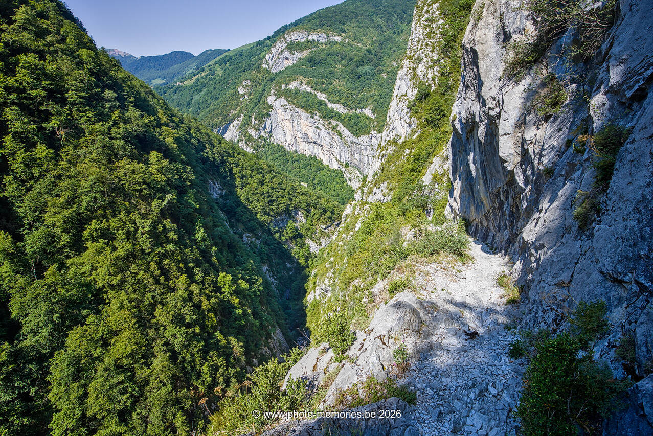 2026-07-09-0218.jpg
