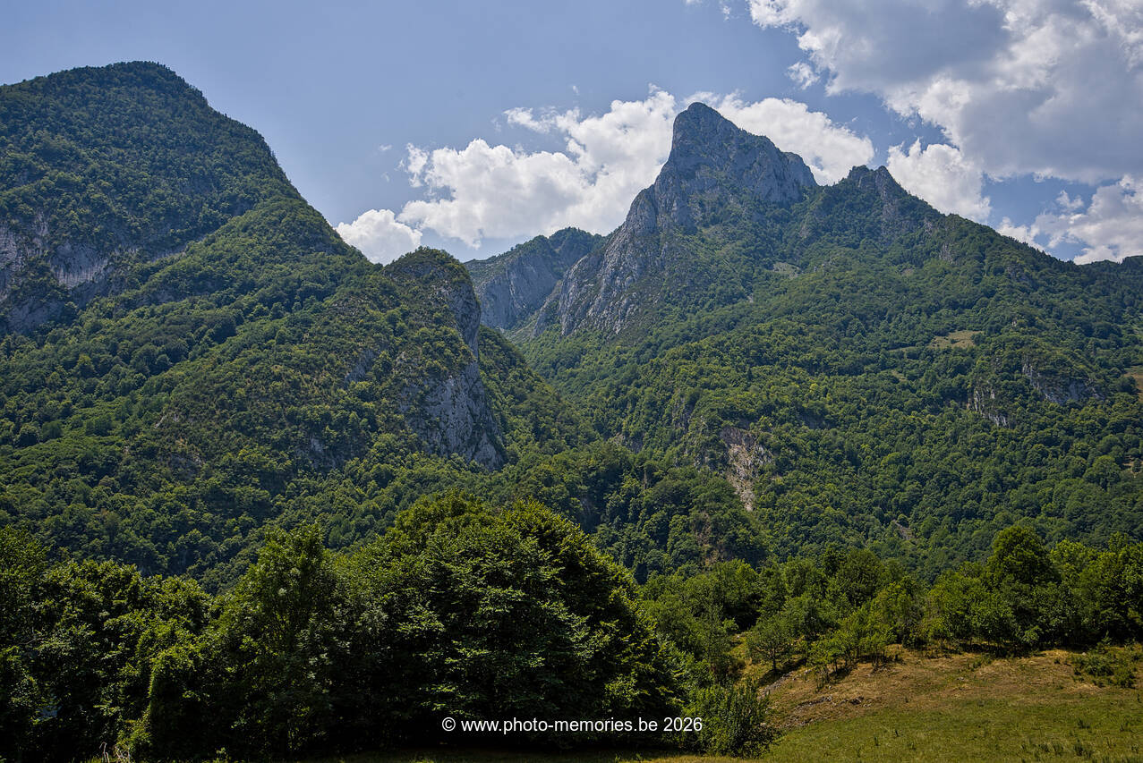 2026-07-09-0224.jpg