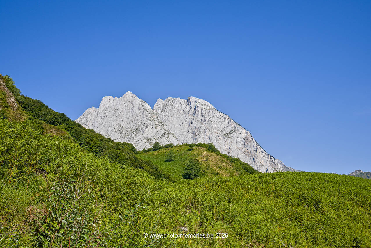 2026-07-11-0242.jpg
