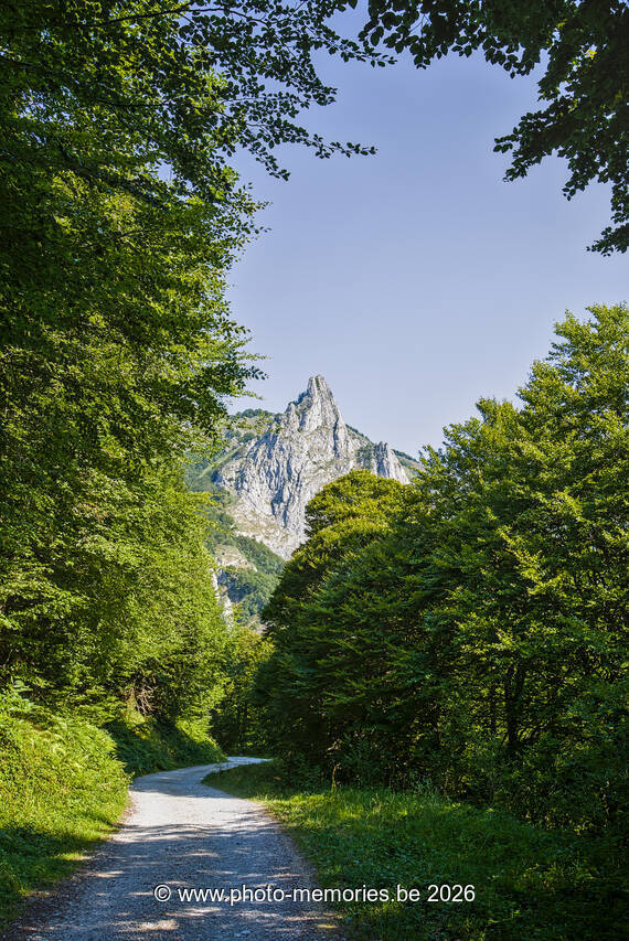 2026-07-11-0243.jpg