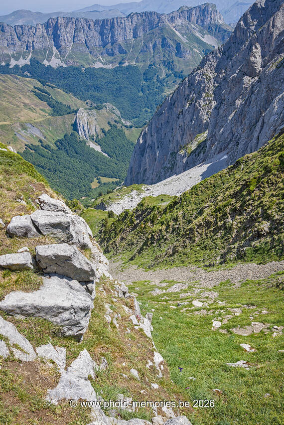 2026-07-11-0251.jpg