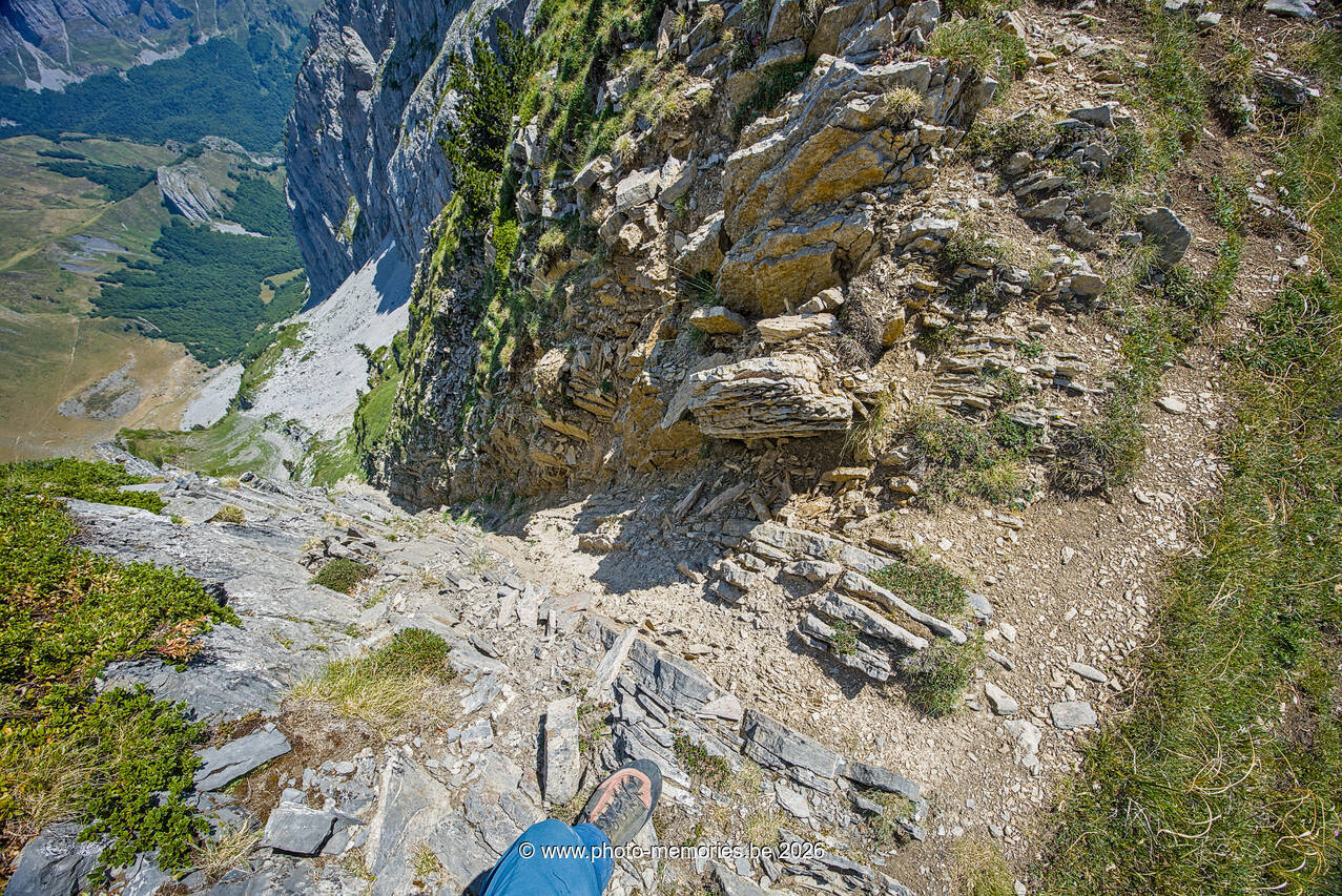 2026-07-11-0252.jpg