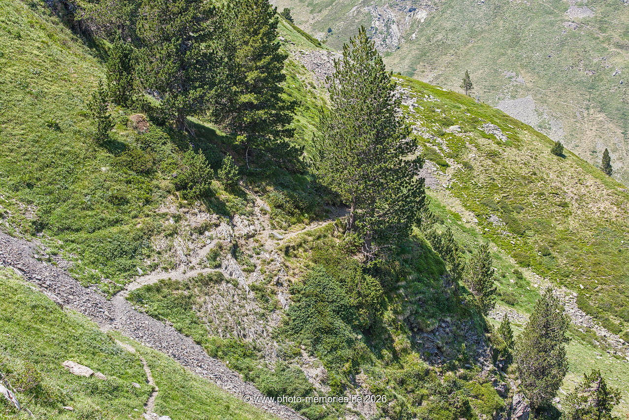 2026-07-11-0261.jpg