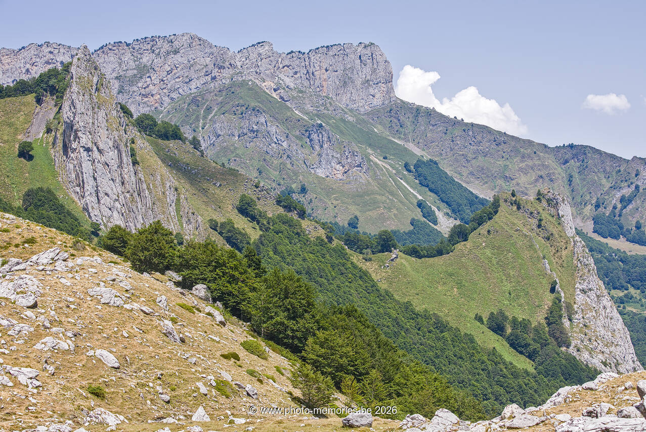 2026-07-11-0262.jpg