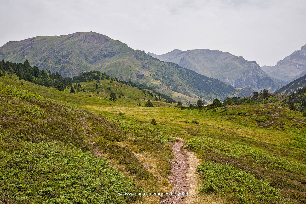 2026-07-12-0275.jpg