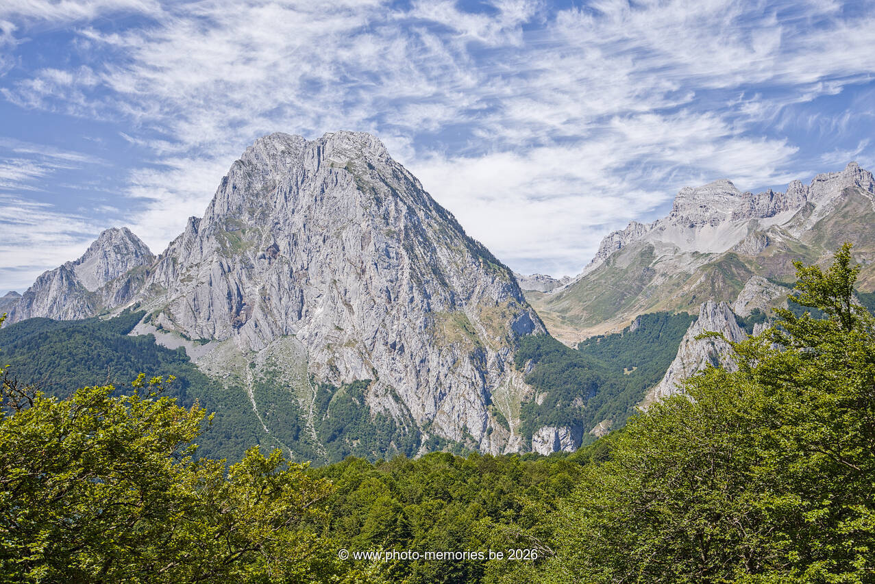 2026-07-15-0339.jpg